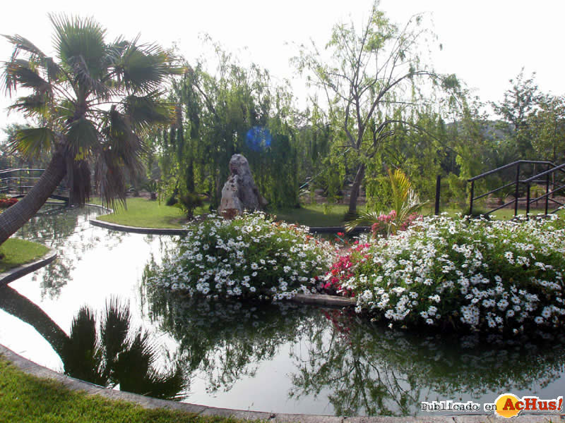 Botanic Cullera 01