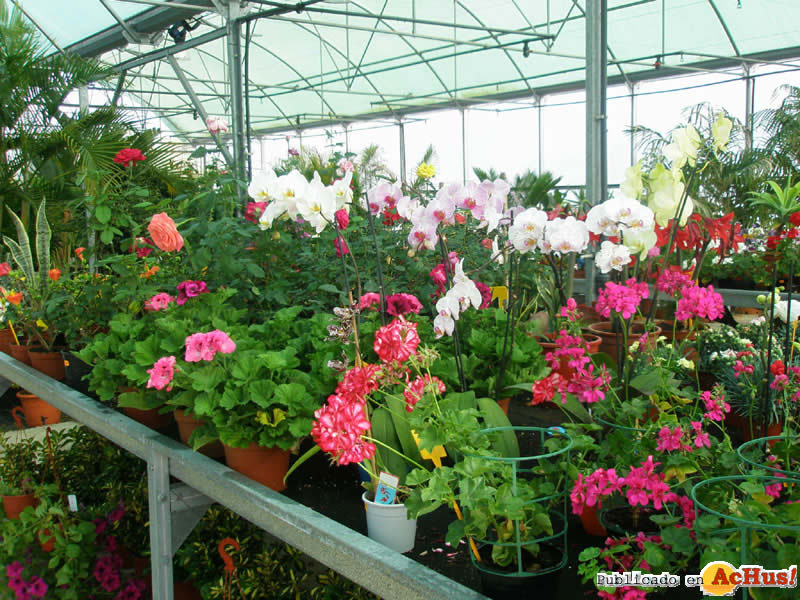 Botanic Cullera 02