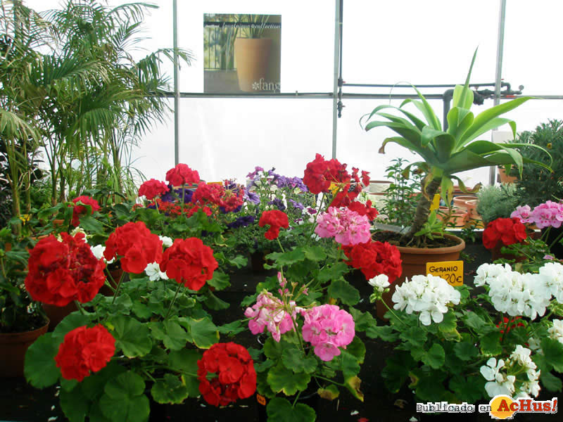 Botanic Cullera 05