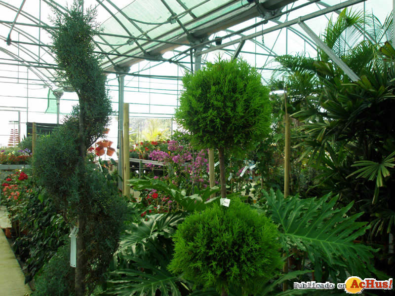 Botanic Cullera 06