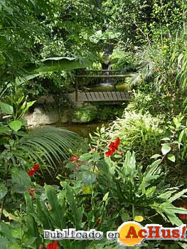 Butterfly Park Empuriabrava 02