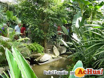 Butterfly Park Empuriabrava 06