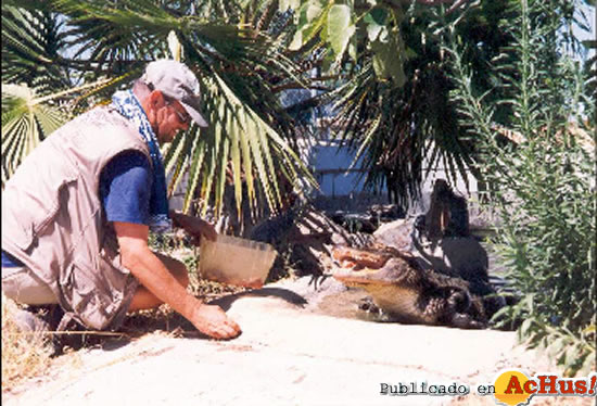 Crocodile Park Terra Exotica 03