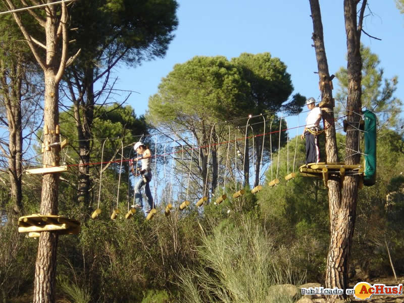 pinos