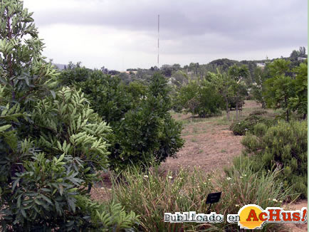 Jardi Botanic Barcelona 0