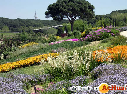 Jardi Botanic Barcelona 04