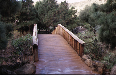 Botanico Viera Clavijo 01
