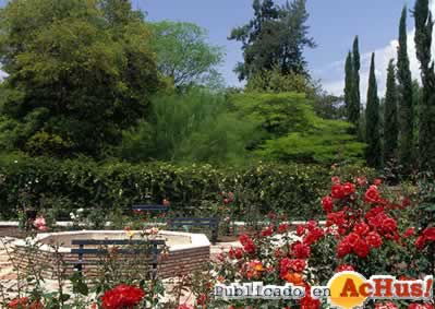 Botanico Cordoba 06