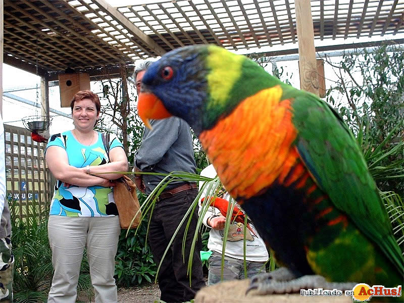 Jardin del Papagayo 01