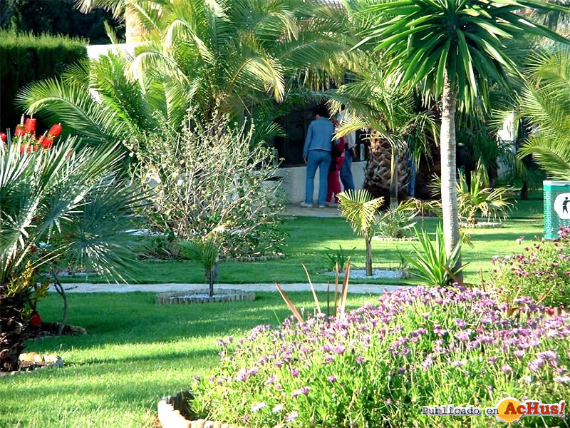 Jardin del Papagayo 04