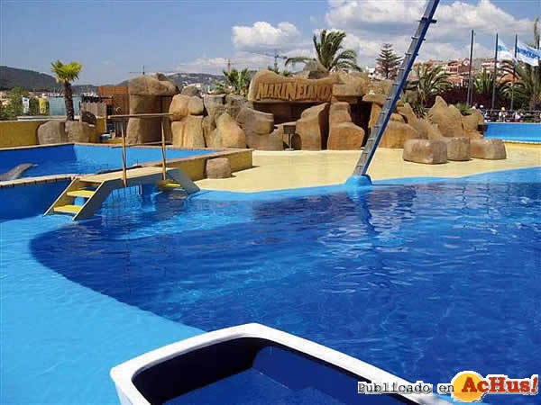 delfinario marineland