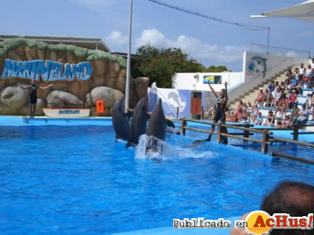 Marineland Mallorca 01