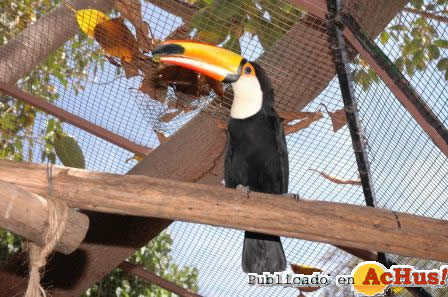 Marineland Mallorca 03