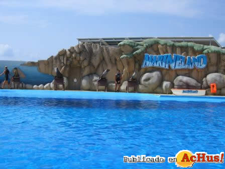 Marineland Mallorca 07