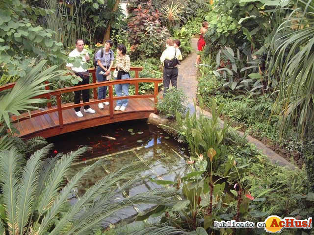 Mariposario Drago 03