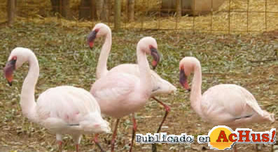 Natura Parc 03