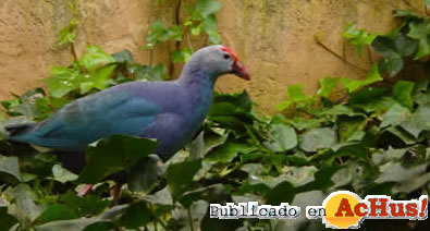 Natura Parc 06