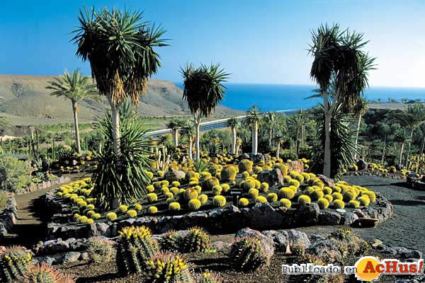 botanico3