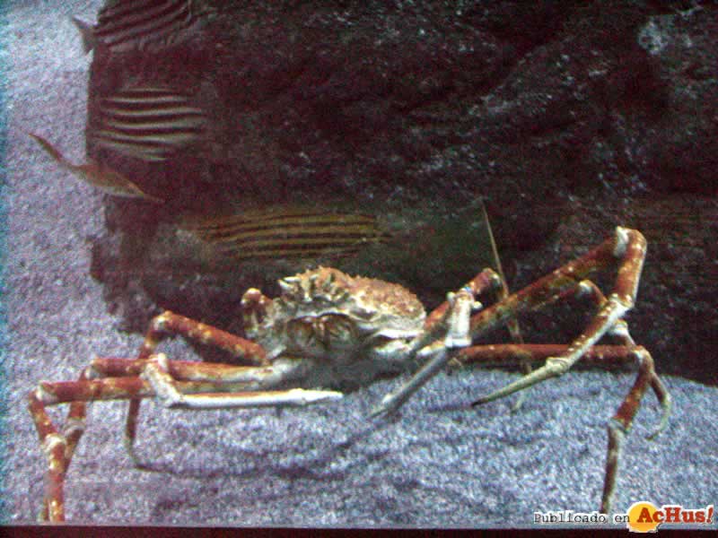Oceanografico 03