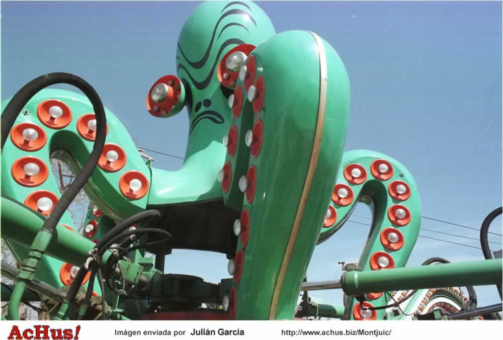 pulpo