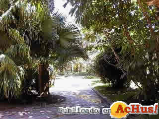 Botanico Arqueologico Majuelo 01