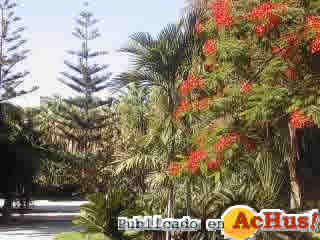 Botanico Arqueologico Majuelo 03
