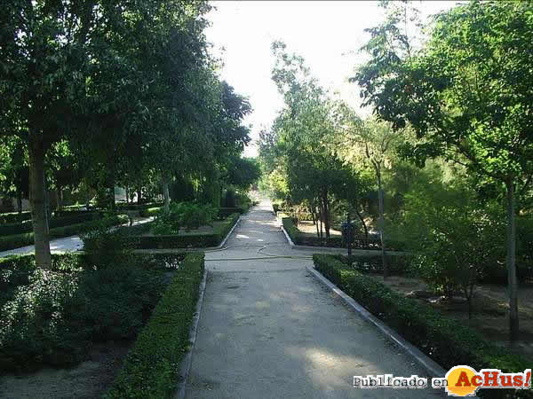 paseo3