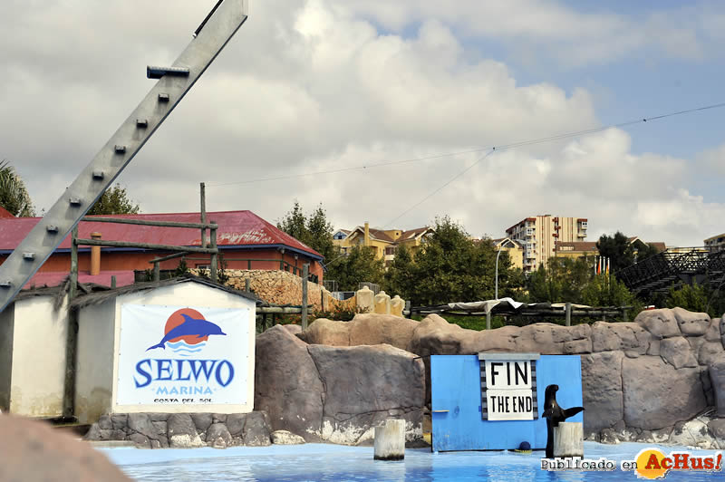 Selwo Marina 120