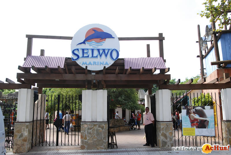 Selwo Marina 42