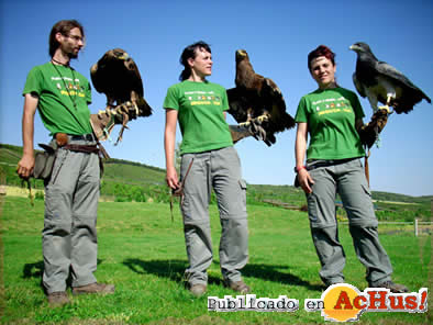 rapaces