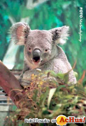 Zoo Madrid 03