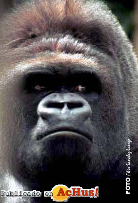 Zoo Madrid 04