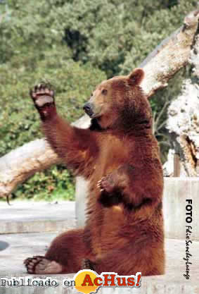 Zoo Madrid 05