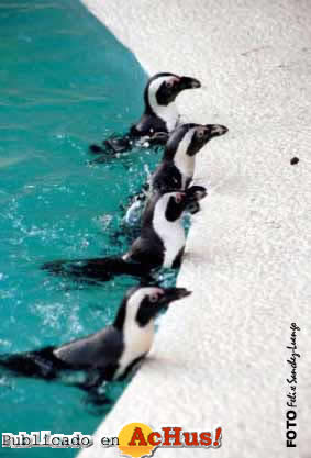 Zoo Madrid 06