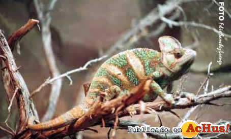 Zoo Madrid 07