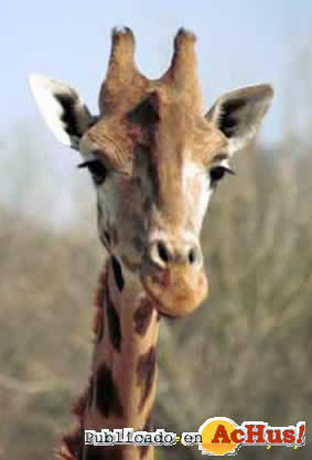 Zoo Madrid 09