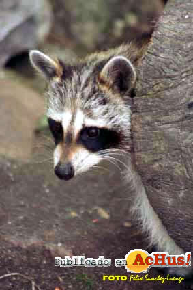Zoo Madrid 11