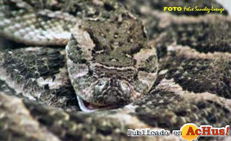 Zoo Madrid 13