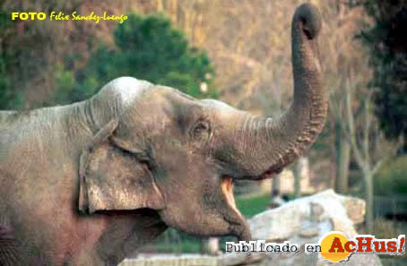 Zoo Madrid 17