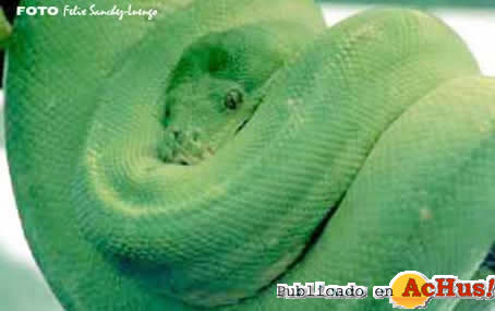 Zoo Madrid 23