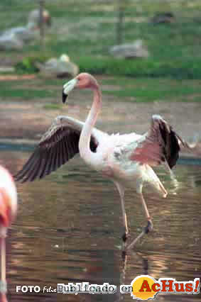 Zoo Madrid 26