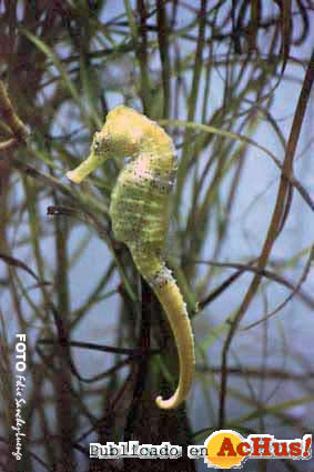 Zoo Madrid 27