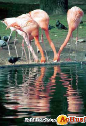 Zoo Madrid 31