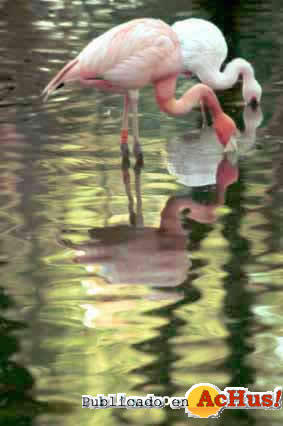 Zoo Madrid 32