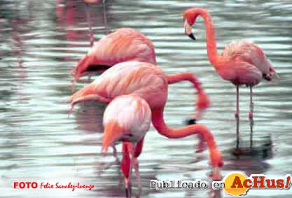 Zoo Madrid 33