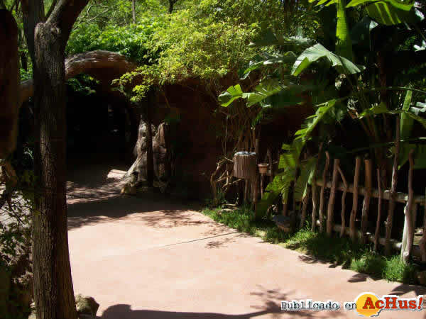 Rincon del Zoologico