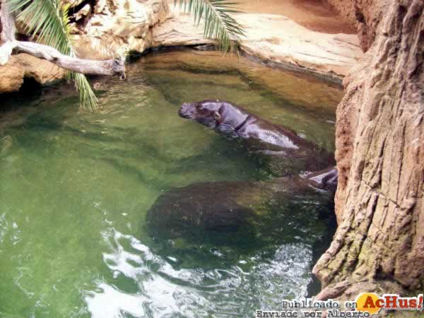 Zoo Fuengirola 29