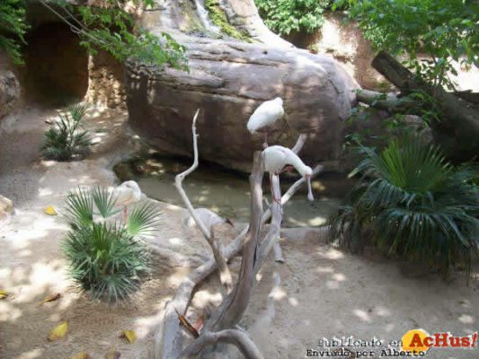 Zoo Fuengirola 32