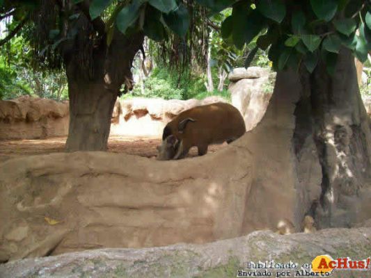 Zoo Fuengirola 34