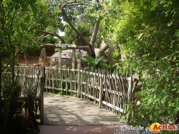 Zoo Fuengirola 36